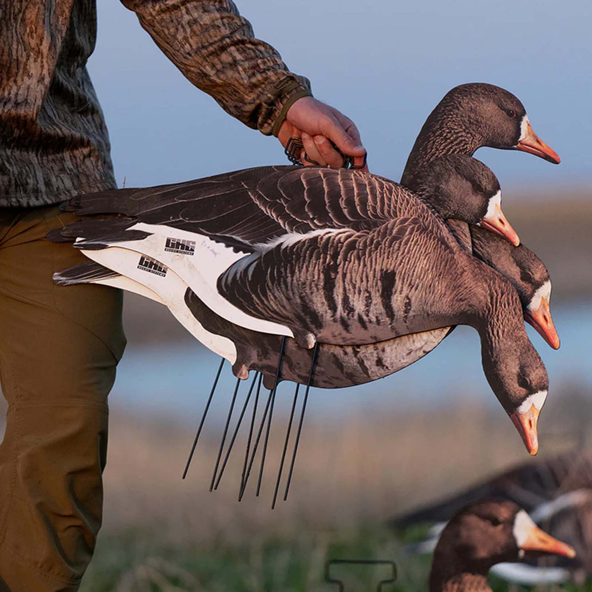 Field Image of the Avery Pro-Grade Specklebelly Silhouette Goose Decoys.