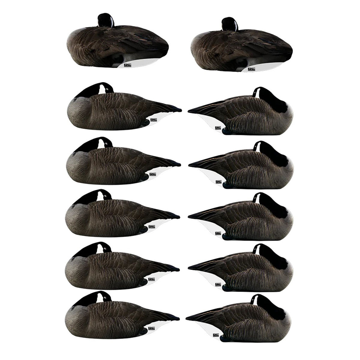 GHG Decoy Systems Pro Grade 'Deep Sleep Pack' Canada Goose Sleeper Silhouettes with Flocked Heads Image
