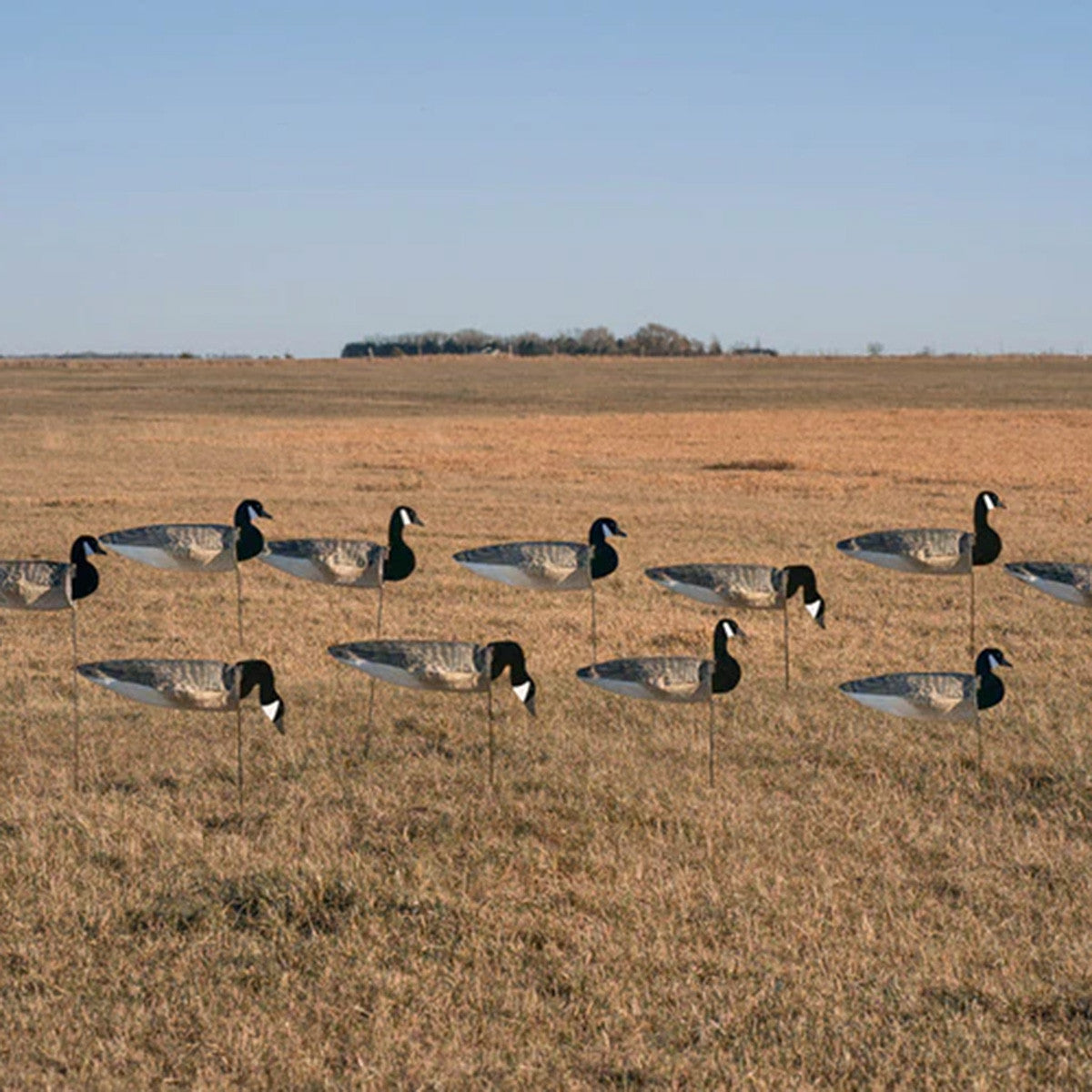 Field Image of the GHG 3D Flocked Head Pro Grade Canada Goose Windsock Harvester Pack.