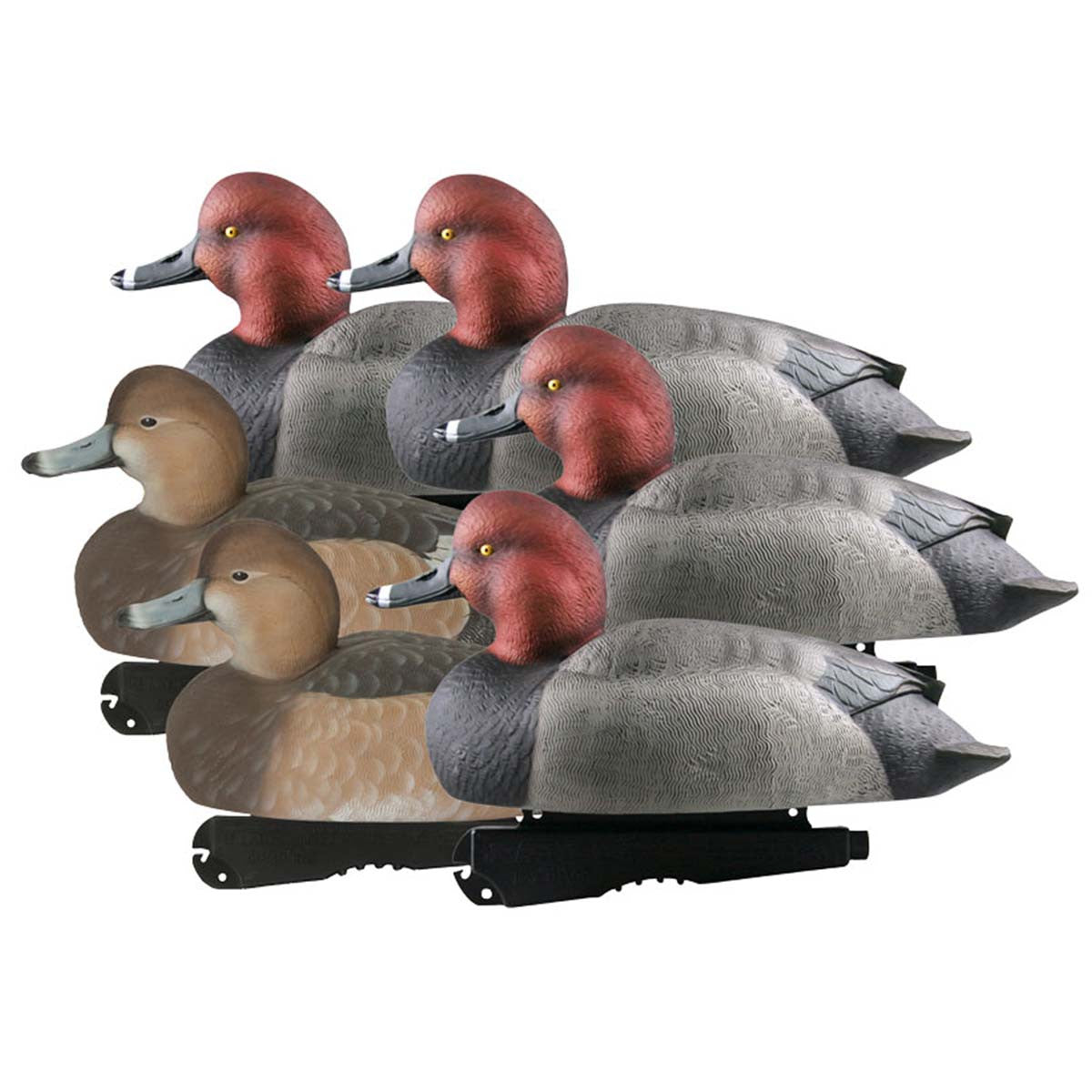 GHG Hunter Series Over-Sized Foam-Filled Redhead Duck Decoys, 6 Pack Image