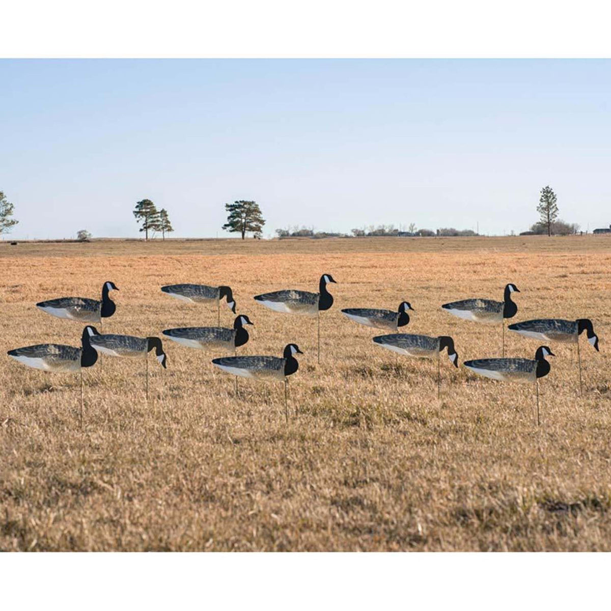 Image of the GHG Decoy Systems Pro-Grade Canada Goose Sock Decoys with Painted Heads.