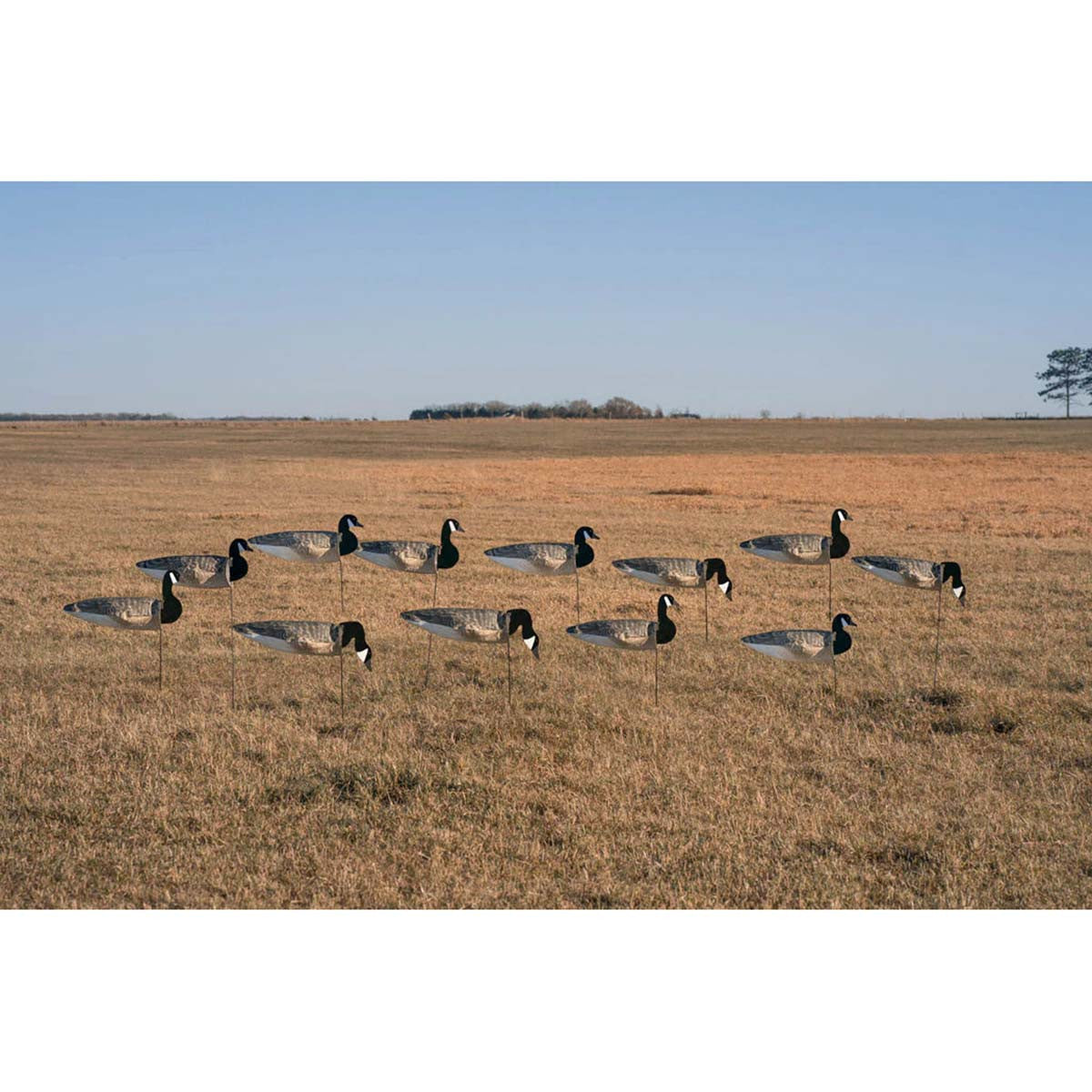 GHG Decoy Systems Pro Grade Sock Decoys Tall Canada Goose Flocked Heads Image