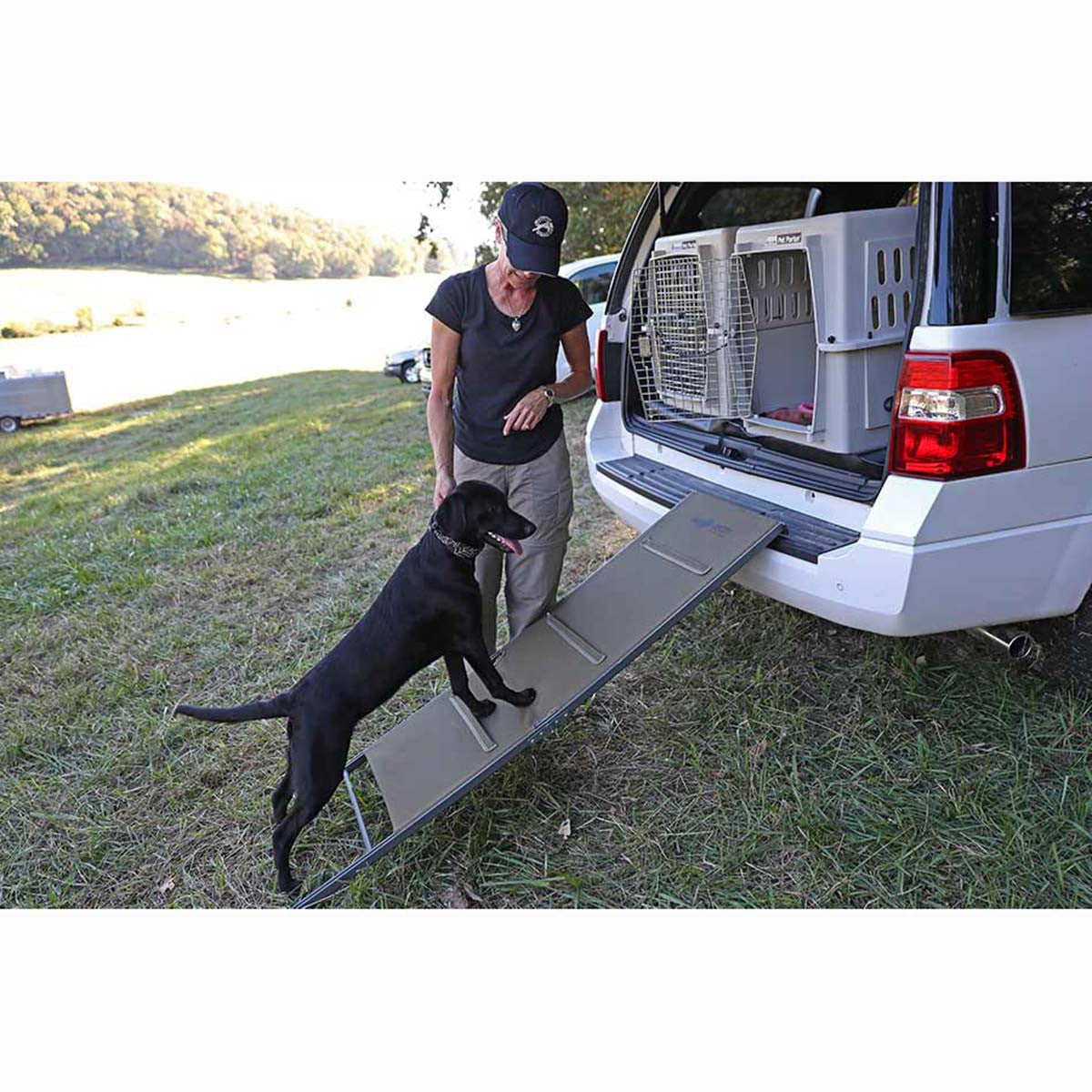 Avery Folding Dog Ramp in use image