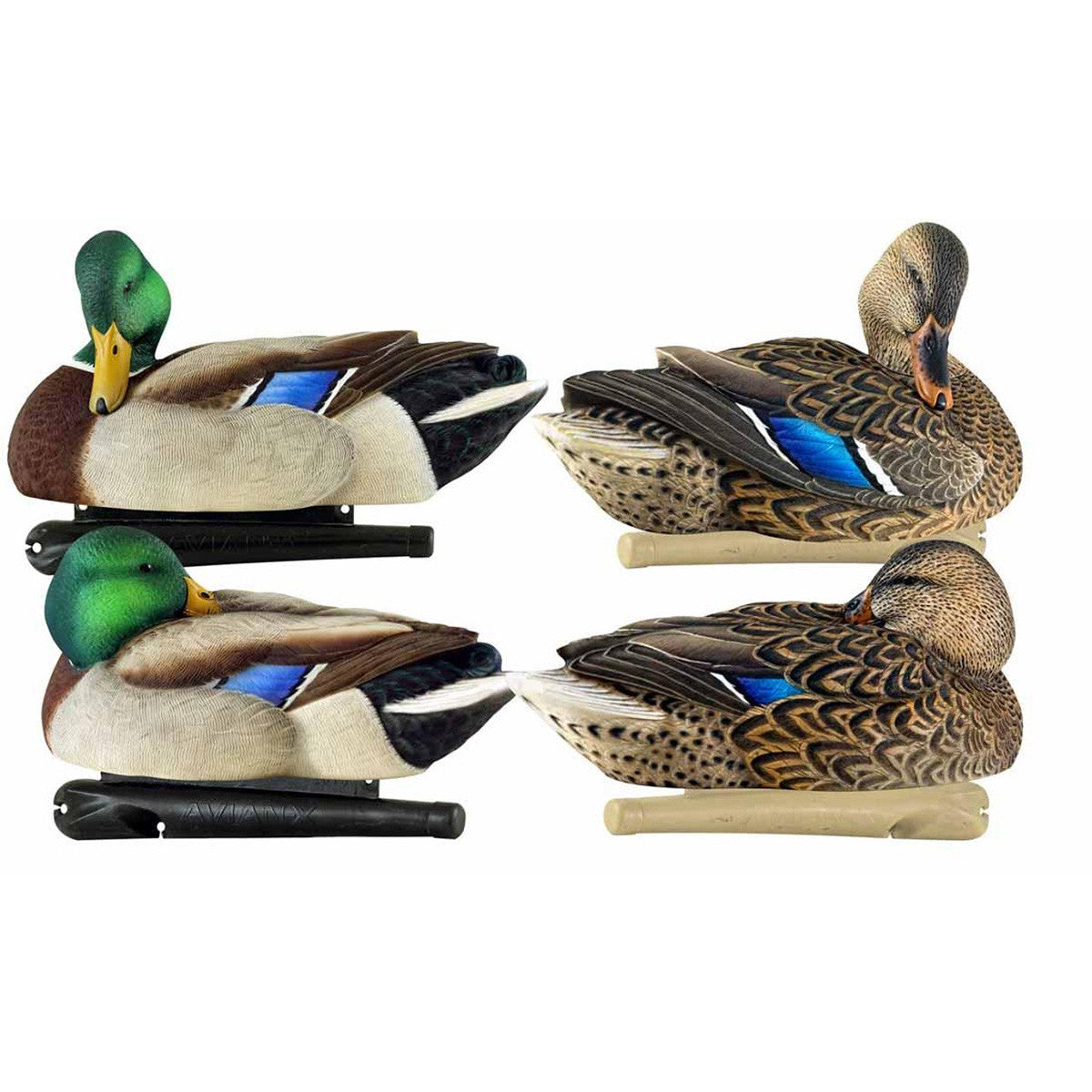 Avian-X Topflight Preener/Sleeper Mallards, 6 Pack Image