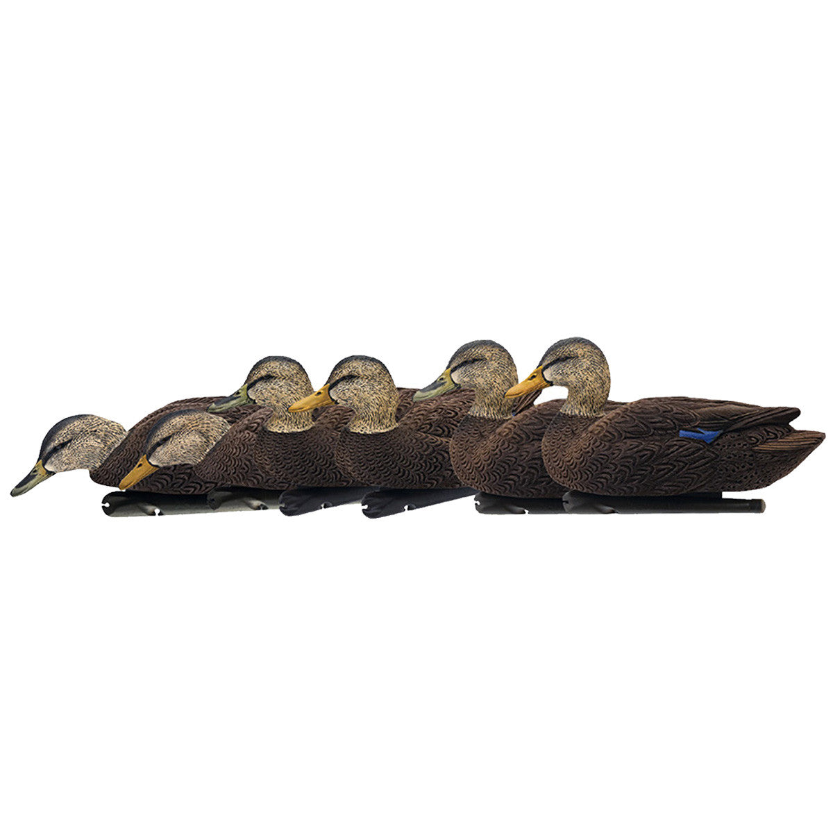Avian-X Topflight Floating Black Duck Decoys - 6 Pack Image
