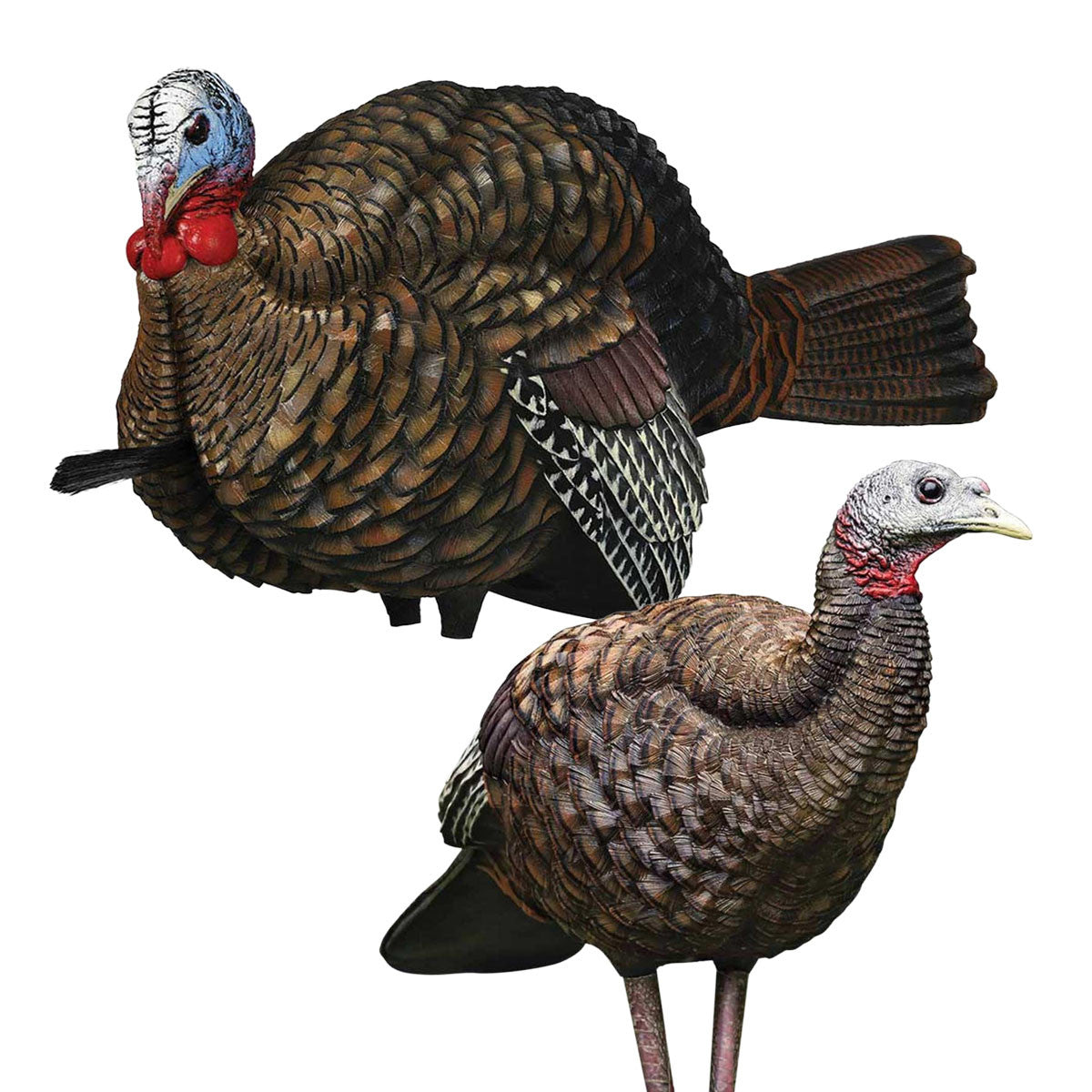 Image of the Avian-X LCD Half-Strut Jake & Avian-X LCD Breeder Hen Turkey Decoy Bundle