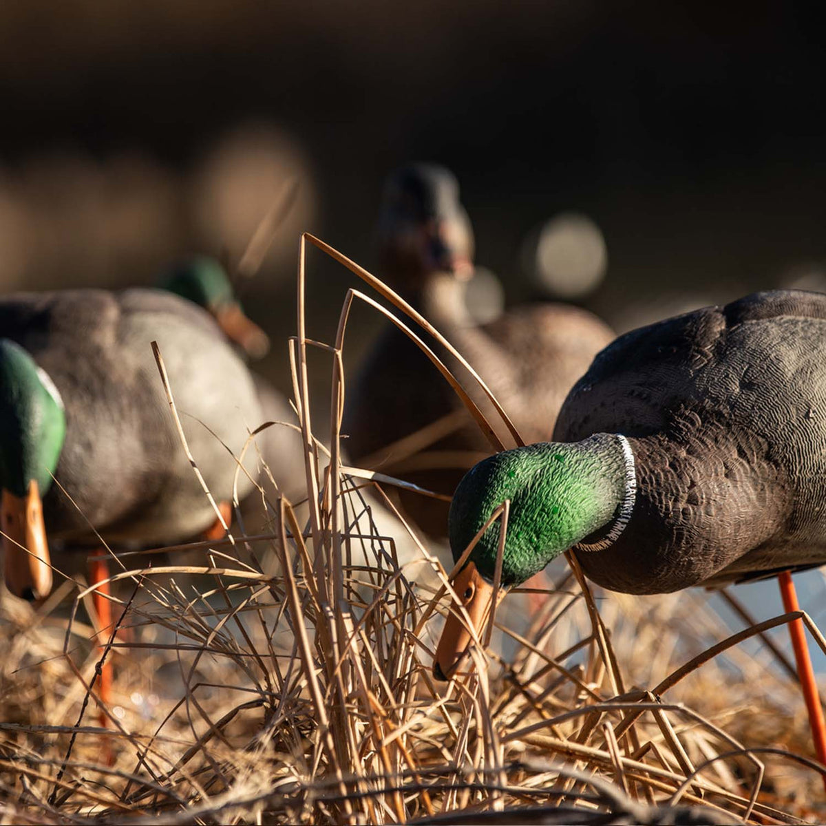 AXP Full Body Mallard Decoys with Slotted Decoy Bag, 6 Pack