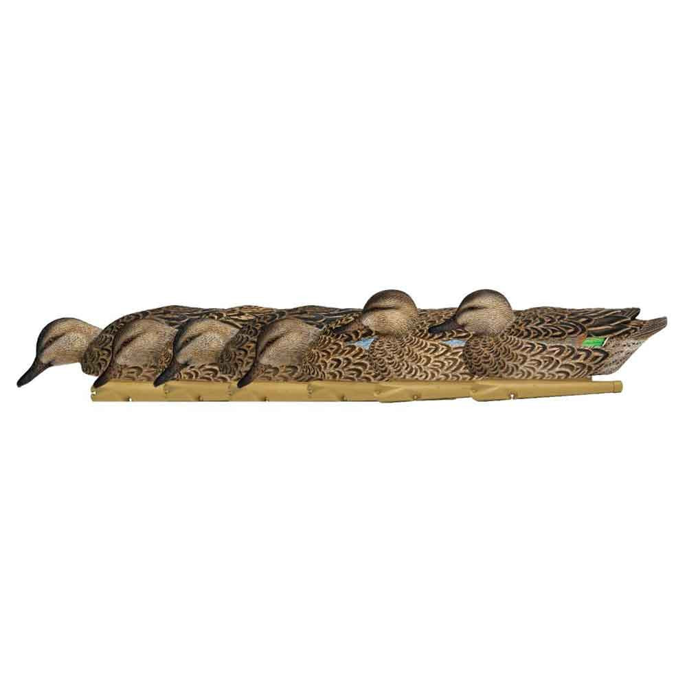 Avian-X Topflight Floating Early Season Teal - 6 Pack Horizontail Group Image