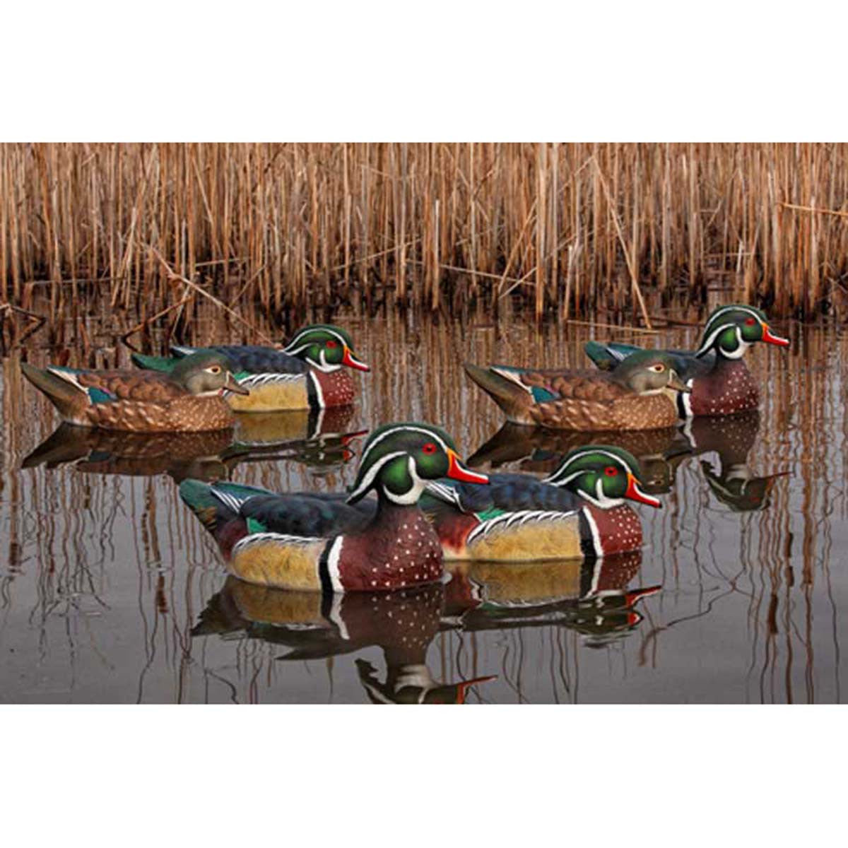 Avian-X Topflight Wood Duck Decoys Field Image