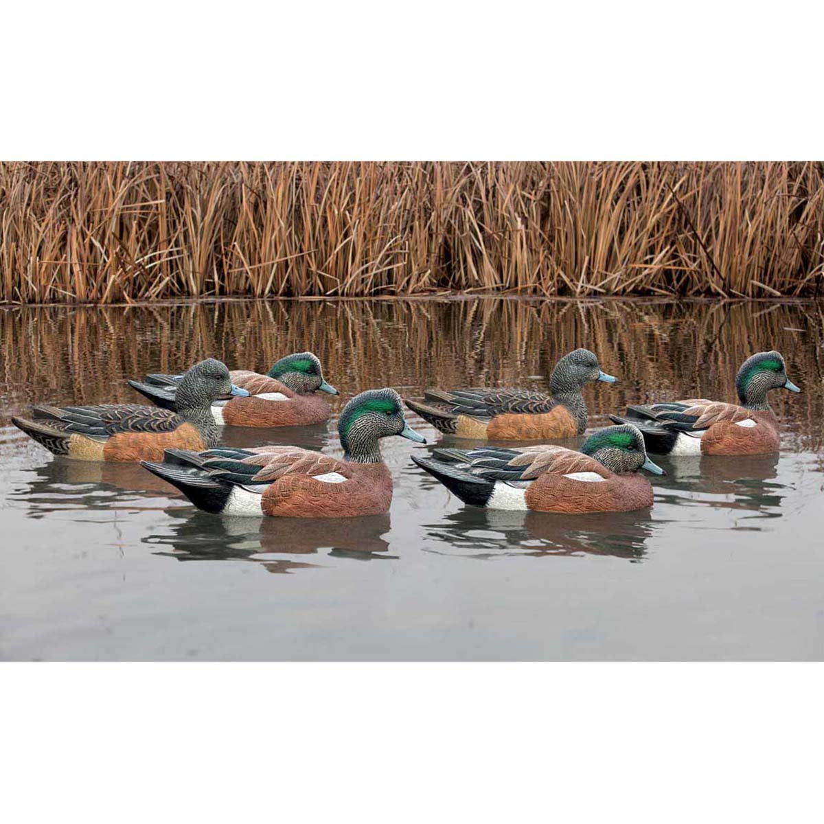 Avian-X Topflight Floating Wigeon Decoys - 6 Pack Lifestyle Image