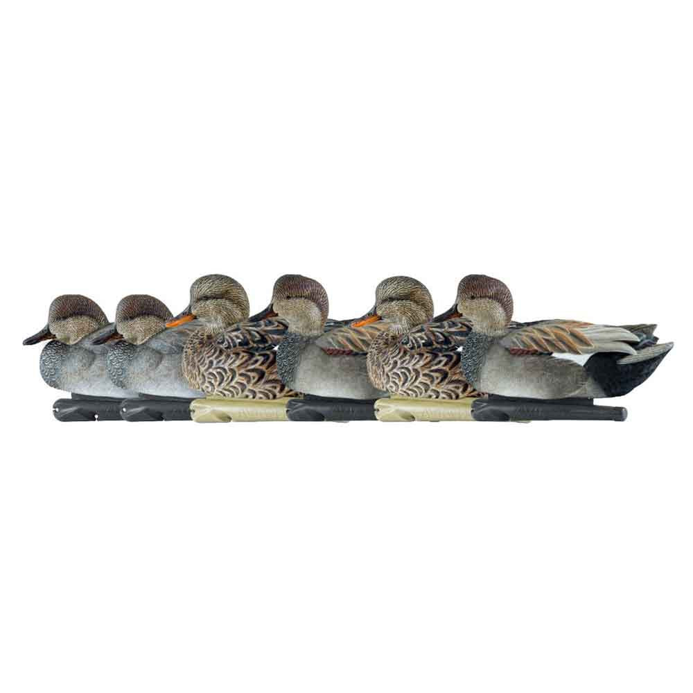 Six Pack Image of the Avian-X Topflight Floating Gadwall Duck Decoys.