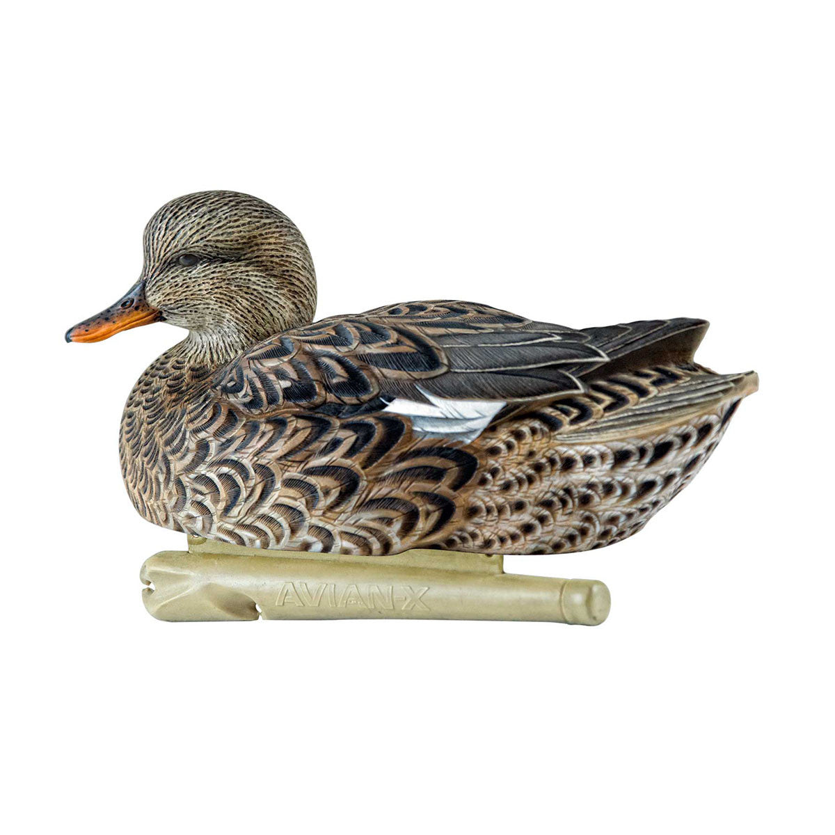 Hen Image of the Avian-X Topflight Floating Gadwall Duck Decoys.