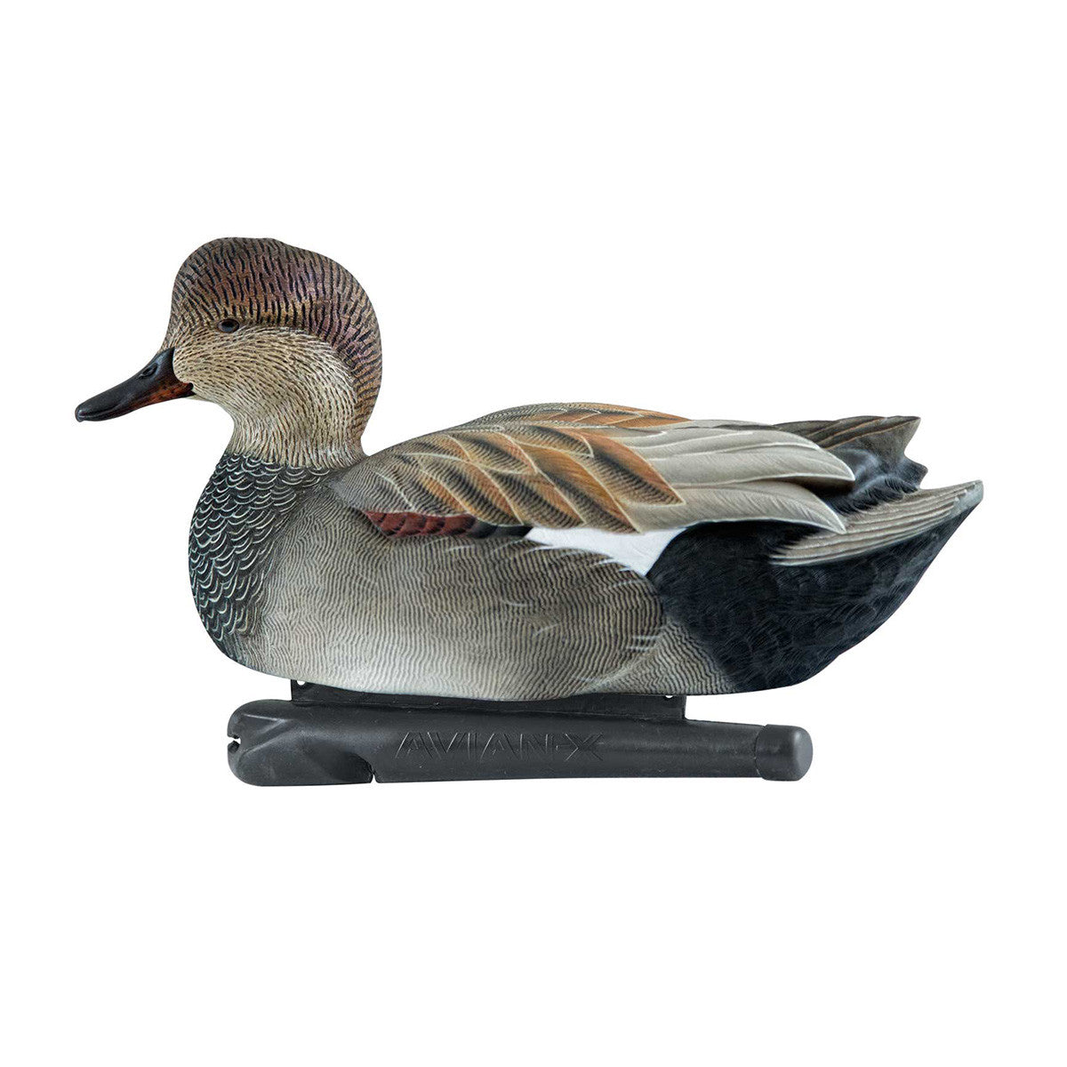 Upright Drake Image of the Avian-X Topflight Floating Gadwall Duck Decoys.