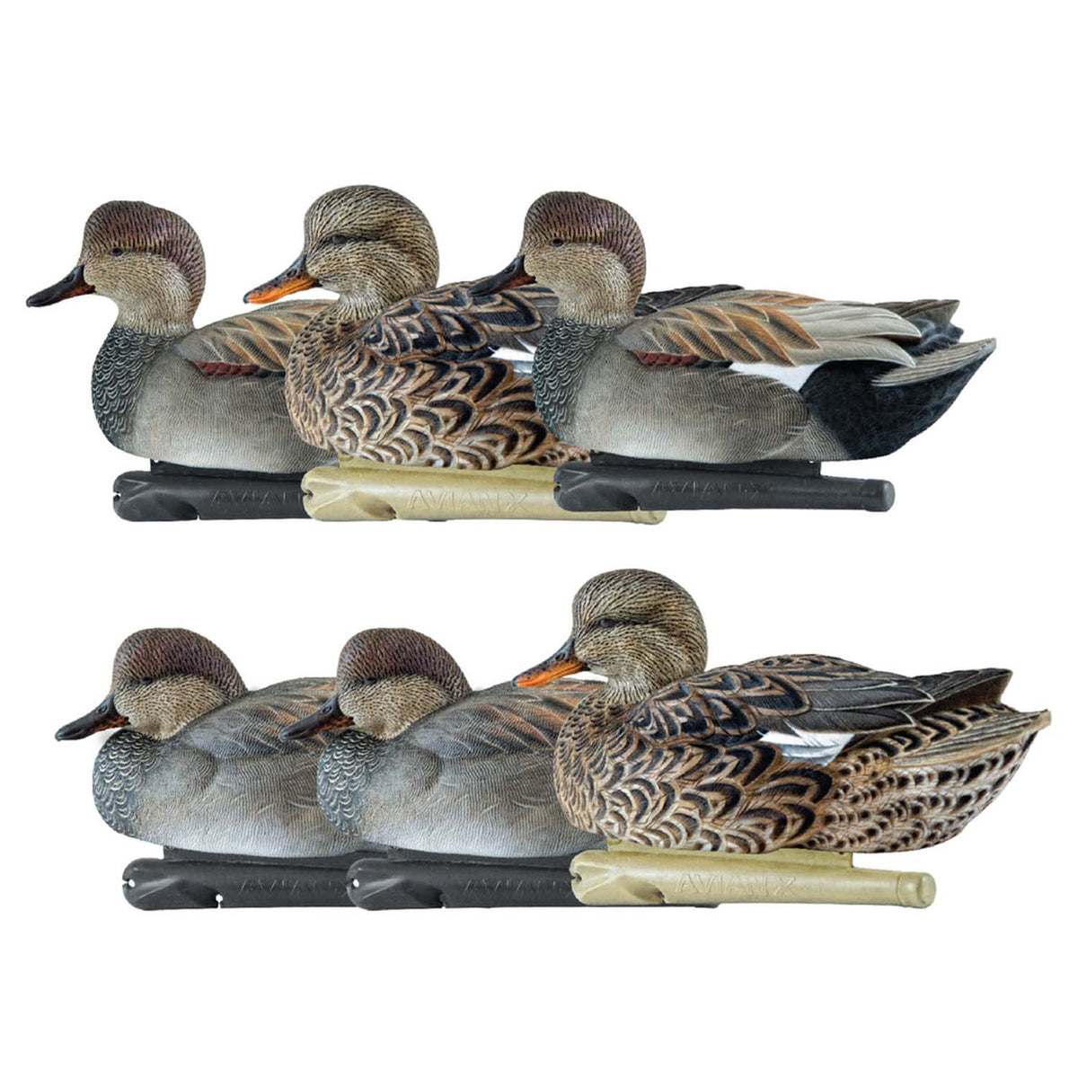 Six Pack Image of the Avian-X Topflight Floating Gadwall Duck Decoys.