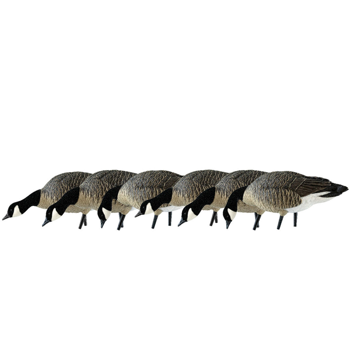 AXP Full-Body Lesser Canada Goose Feeder Decoys with Decoy Bag, 6 Pack