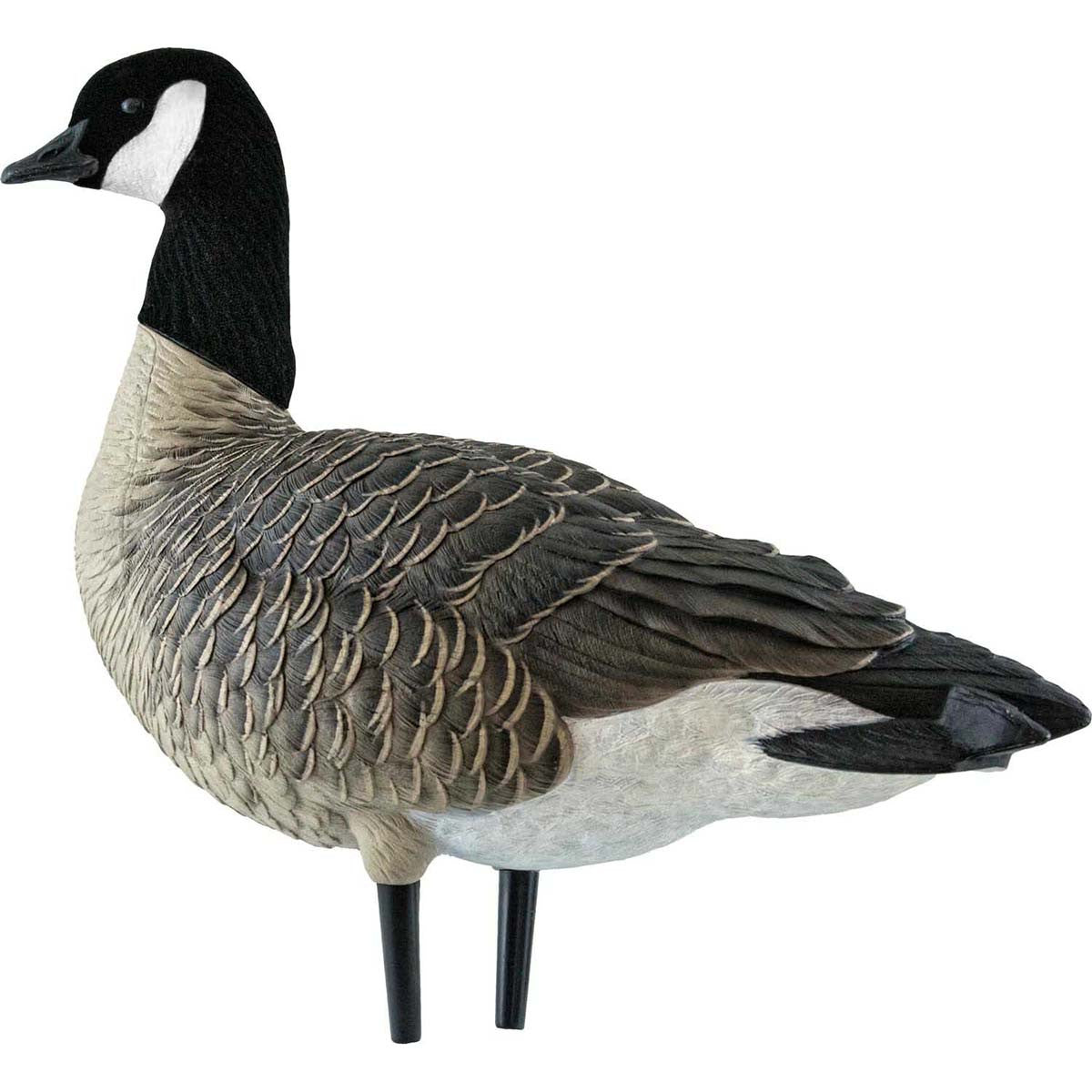 AXP Full-Body Painted Active Lesser Canada Decoys with 6-Slot Decoy Bag