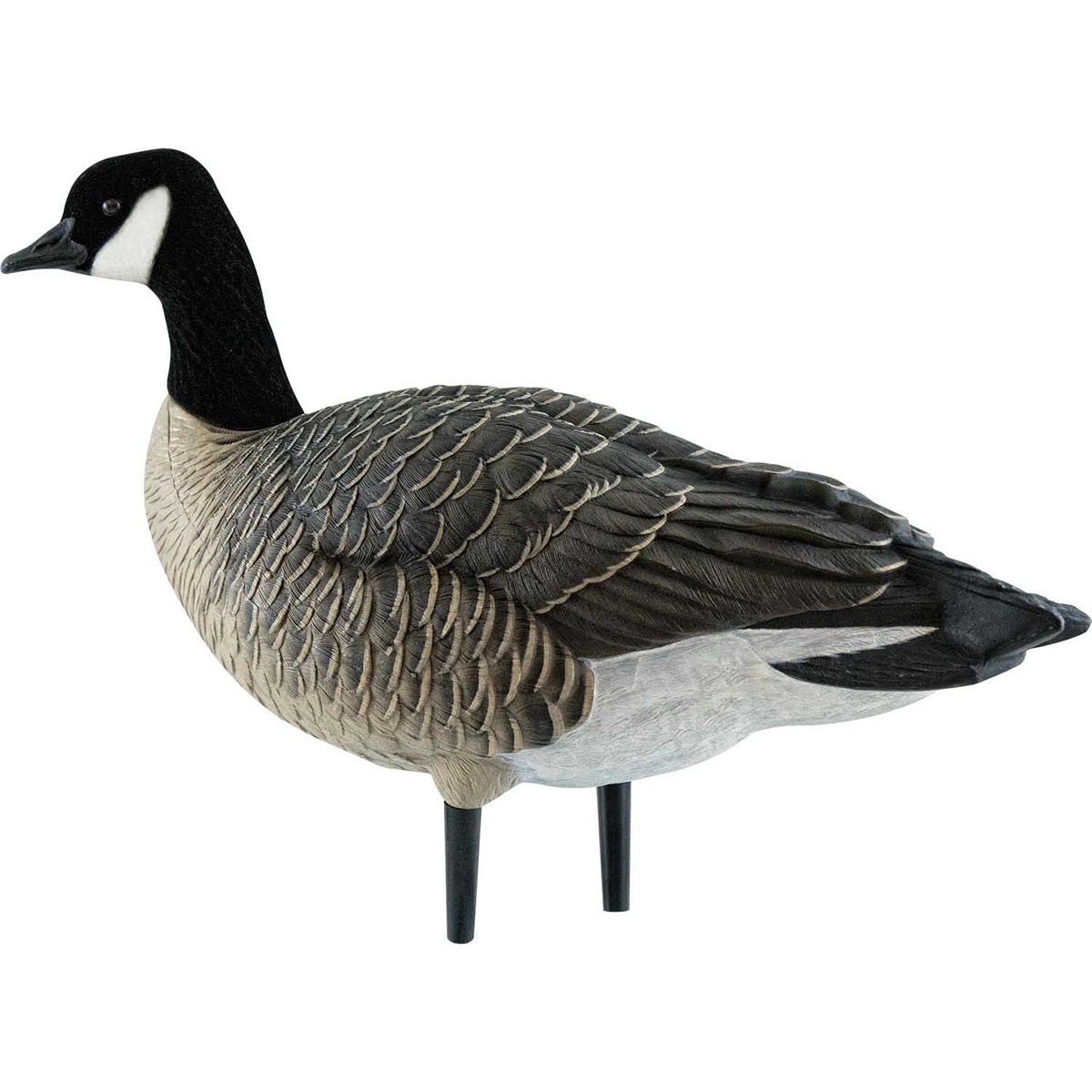 AXP Full-Body Painted Active Lesser Canada Decoys with 6-Slot Decoy Bag