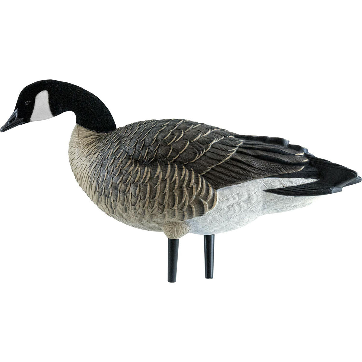 AXP Full-Body Painted Active Lesser Canada Decoys with 6-Slot Decoy Bag