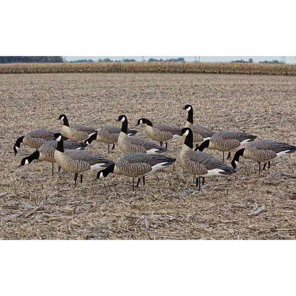 AXP Outfitter Lessers Canada Goose Decoys with 12-Slot Decoy Bag, 12 Pack