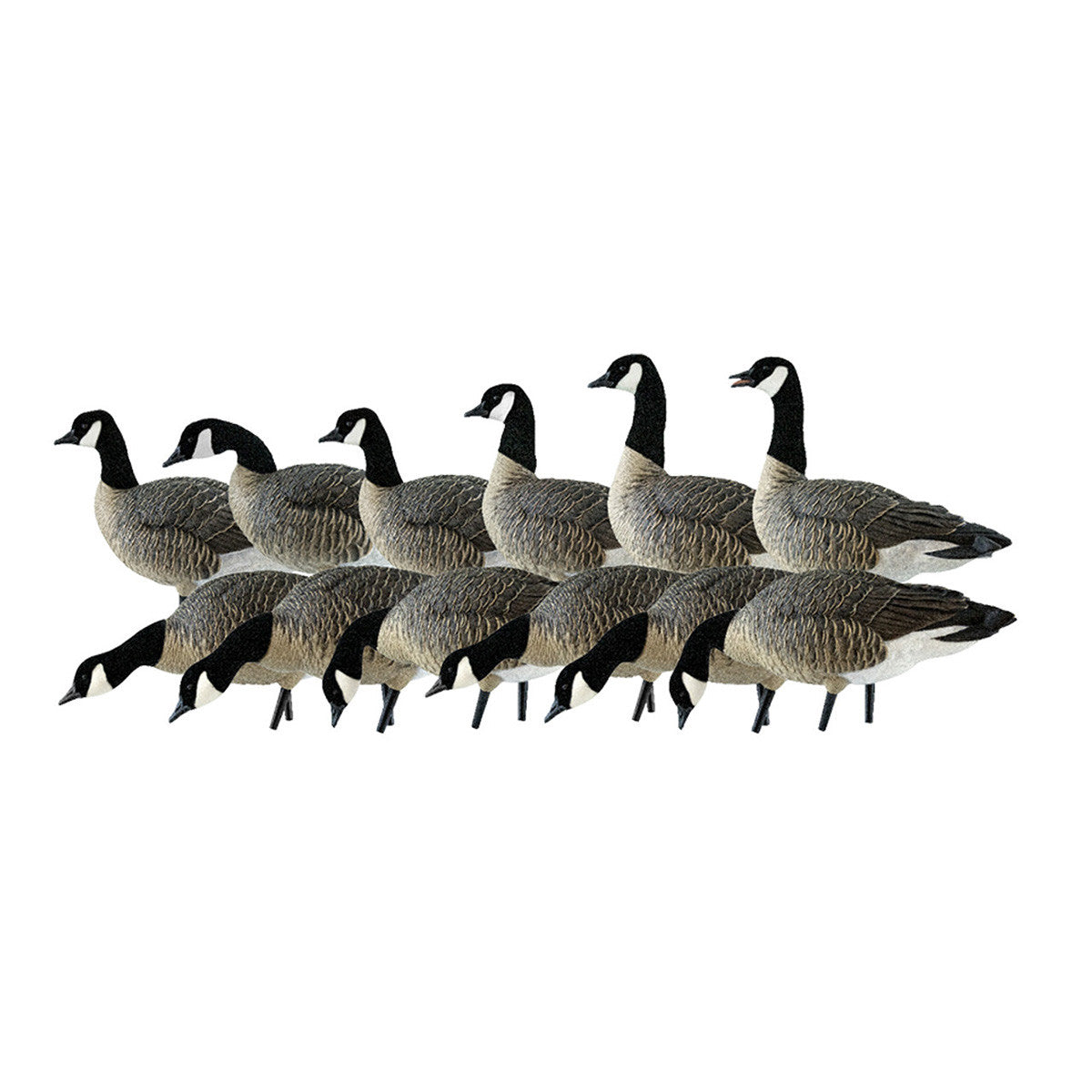 AXP Outfitter Lessers Canada Goose Decoys with 12-Slot Decoy Bag, 12 Pack