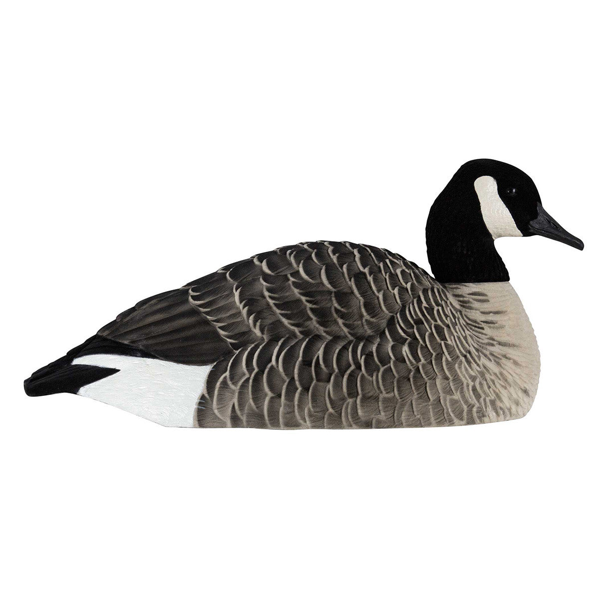AXP Painted Honker Shell Goose Decoys - 6 Pack