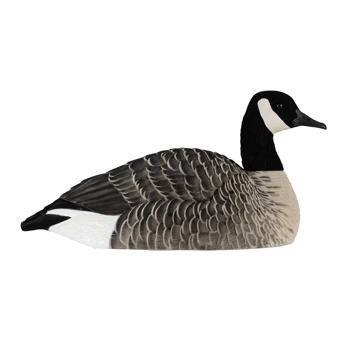 AXP Painted Honker Shell Goose Decoys - 6 Pack