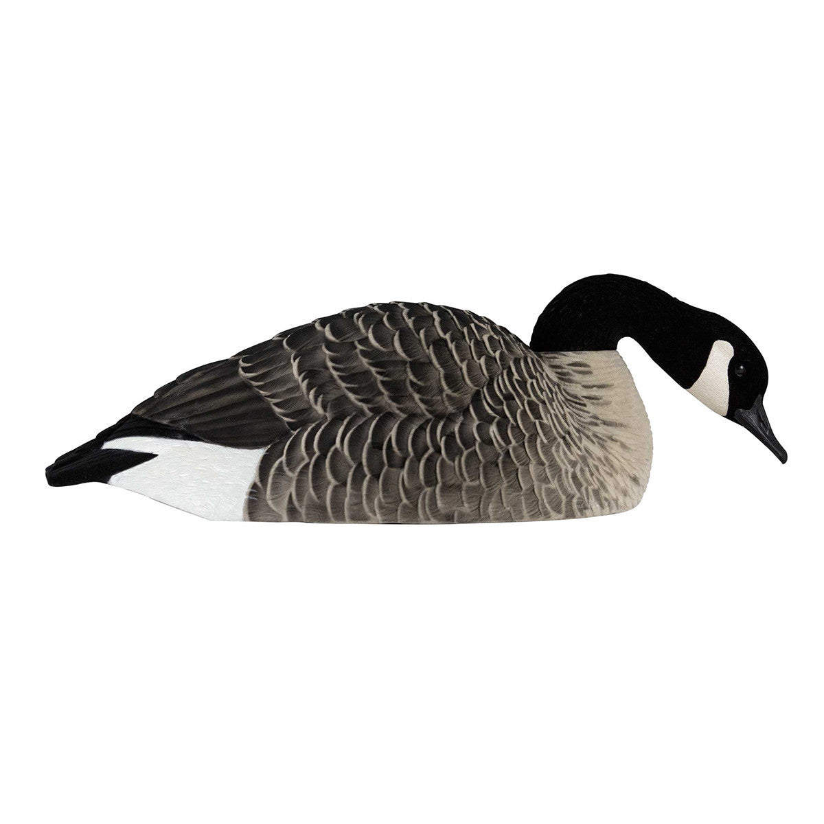 AXP Painted Honker Shell Goose Decoys - 6 Pack
