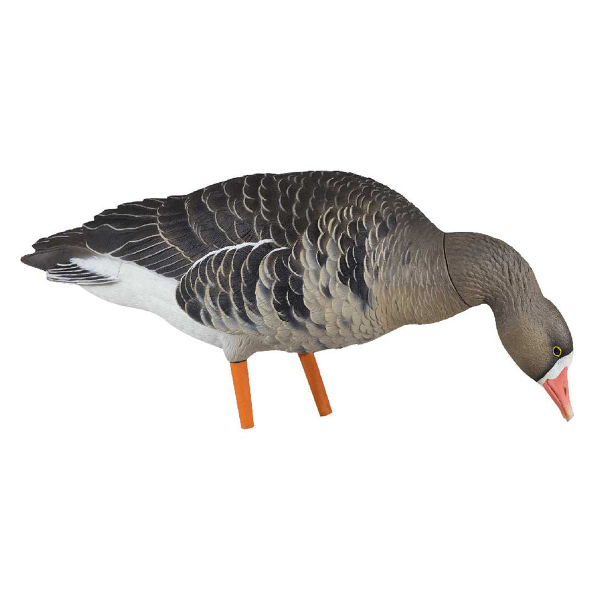 Avian-X AXP Painted Fusion Specklebelly Goose Picking Feeder Image