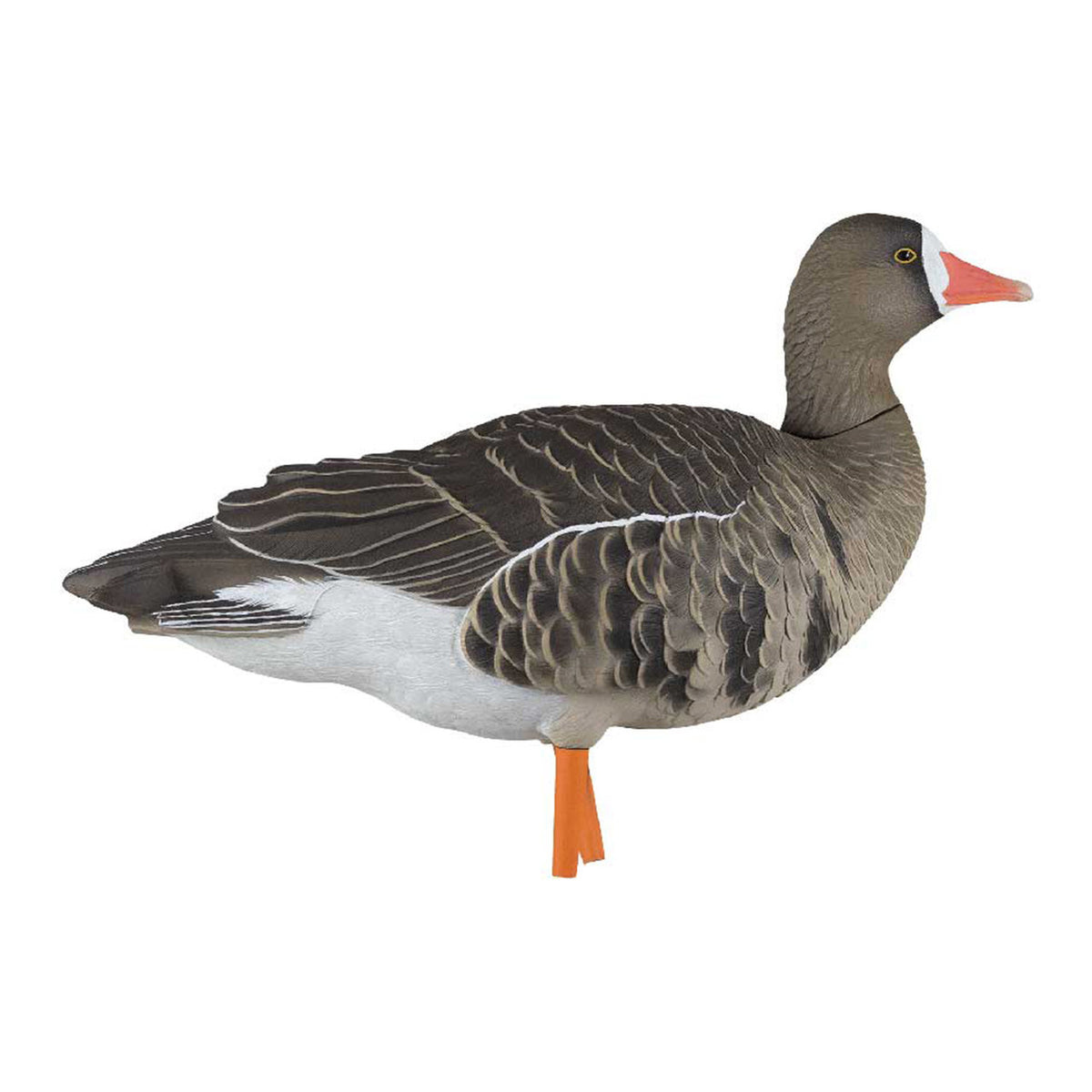 Avian-X AXP Painted Fusion Specklebelly Goose Rester Head Image