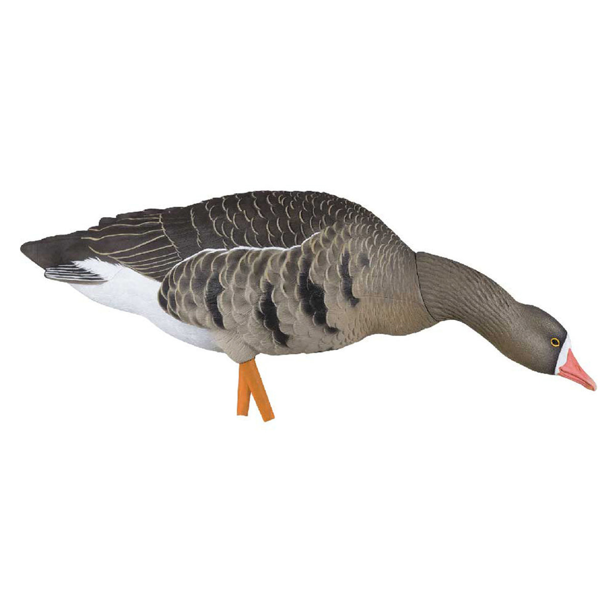 Avian-X AXP Painted Fusion Specklebelly Goose Stretch-Neck Feeder Image