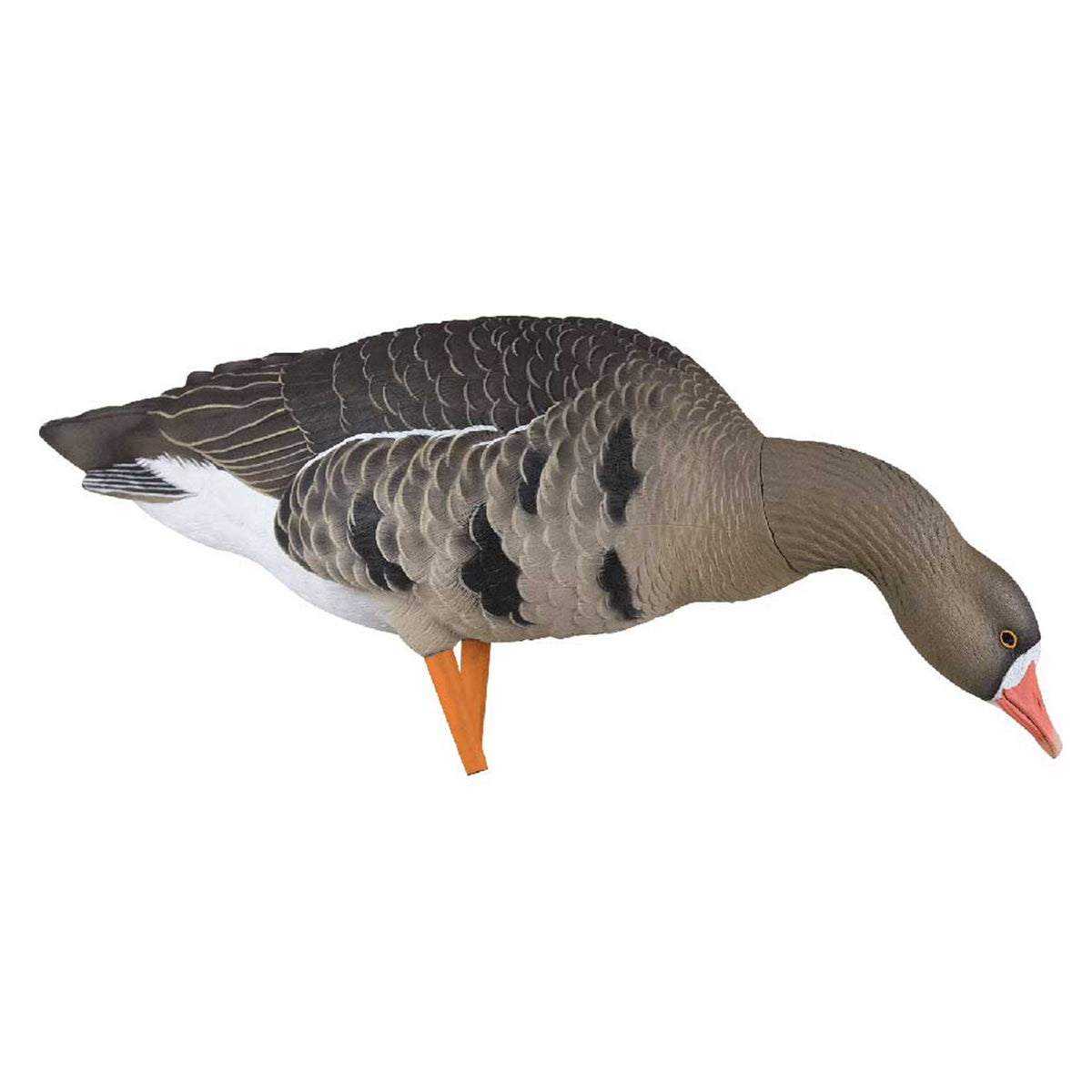 Avian-X AXP Painted Fusion Specklebelly Goose Walking Feeder Image