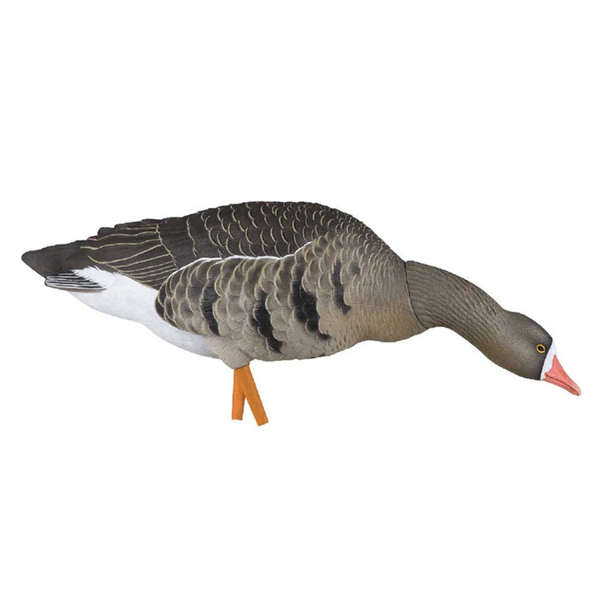 AXF Flocked Fusion Pack Specklebelly Geese Stretch-Neck Feeder Image