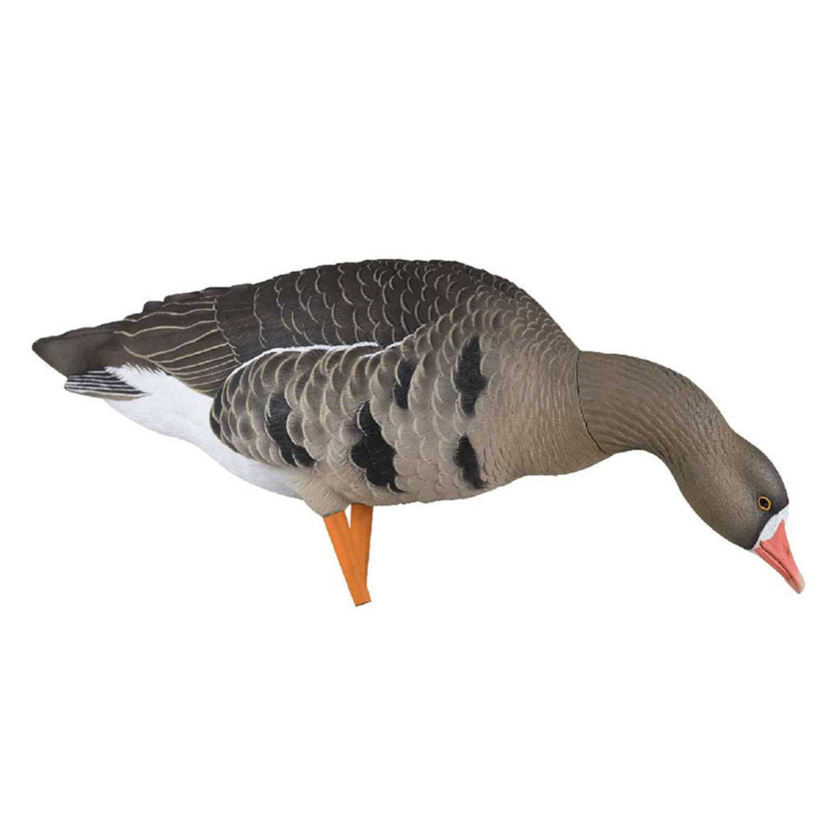 AXF Flocked Fusion Pack Specklebelly Geese Walking Feeder Image