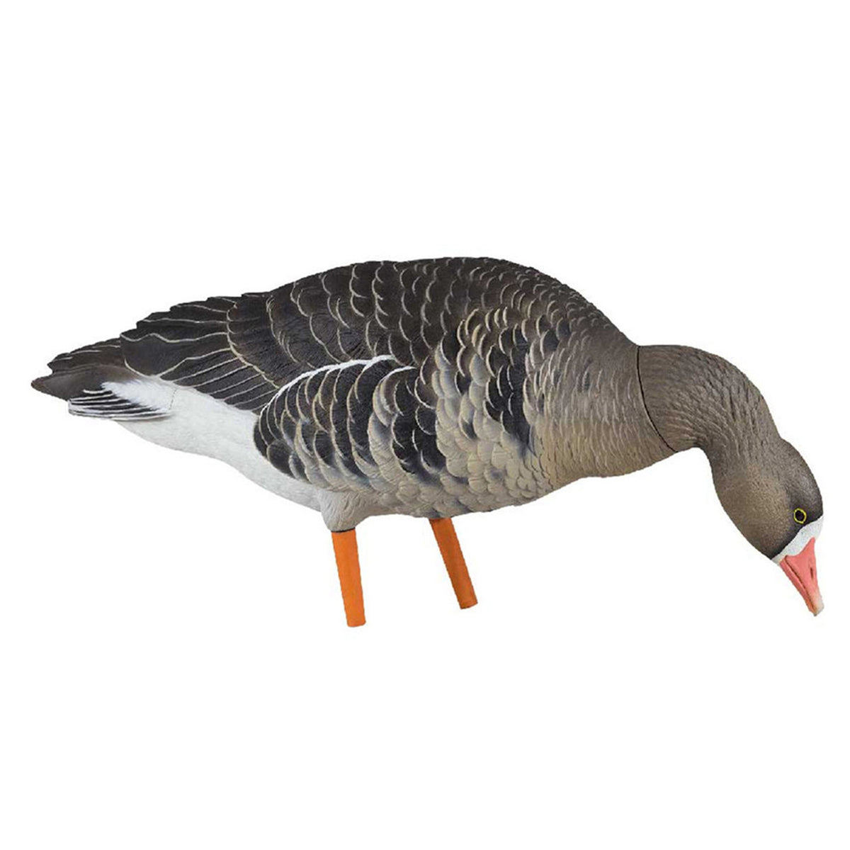 AXF Flocked Fusion Pack Specklebelly Geese Picking Feeder Image