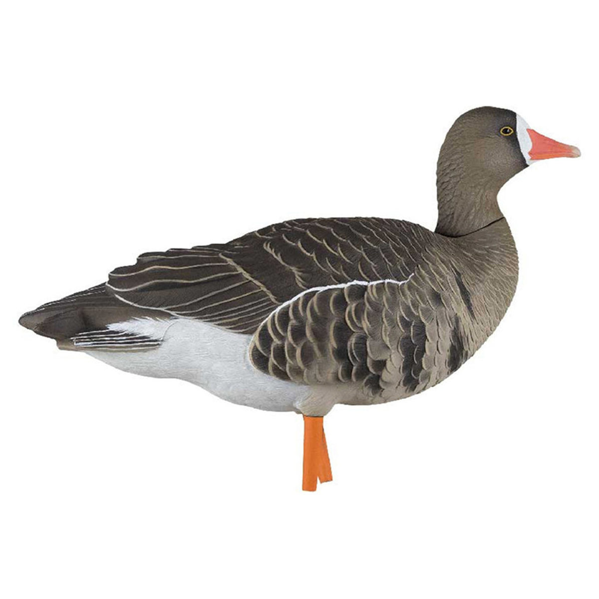 AXF Flocked Fusion Pack Specklebelly Geese Rester Head Image