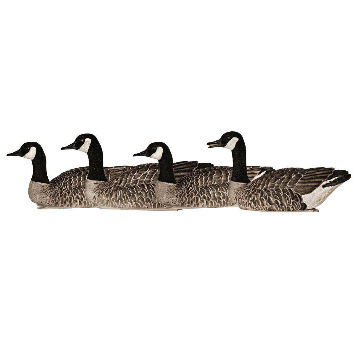 Avian-X Topflight Honker Floaters Product Image