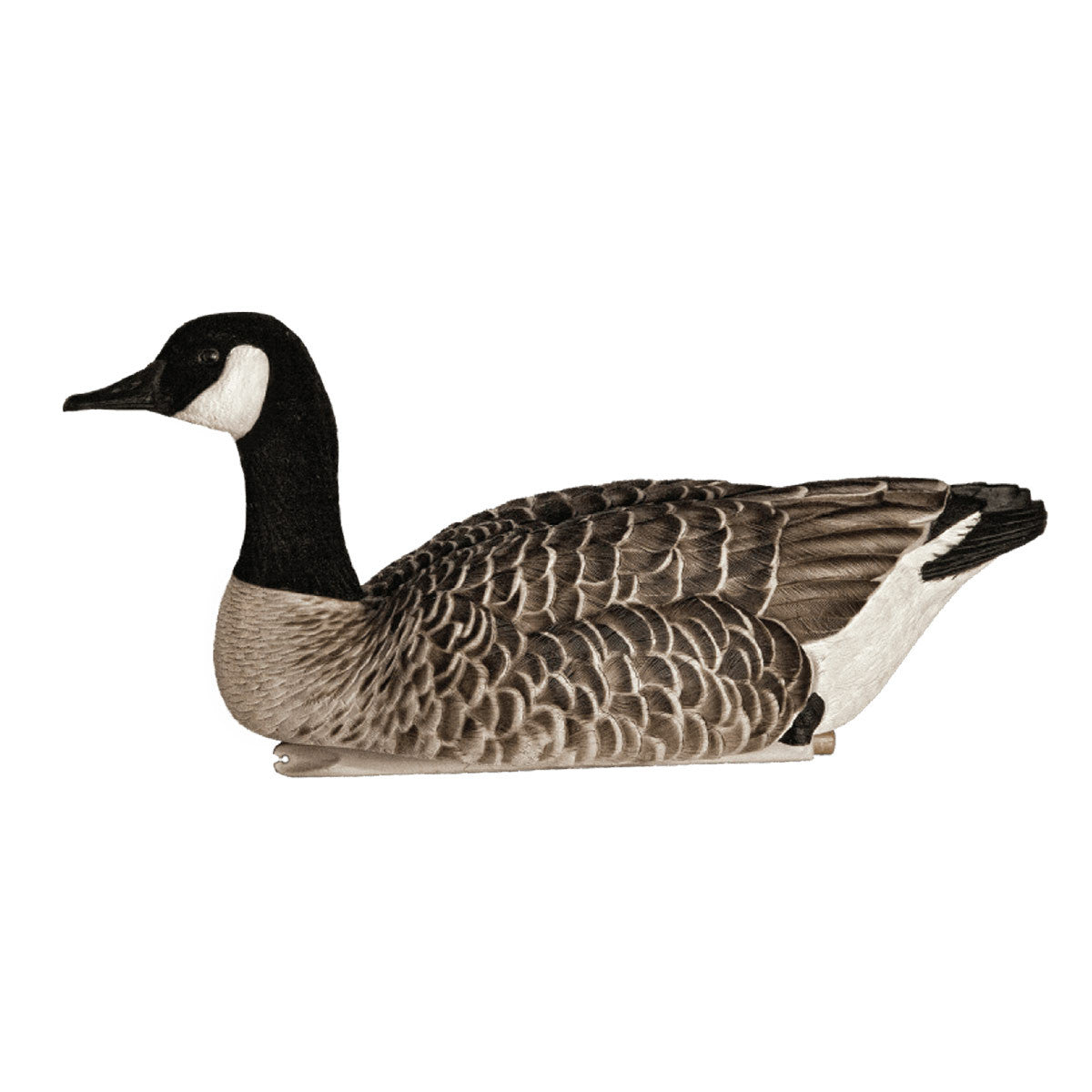 Avian-X Topflight Honker Floaters Product Image