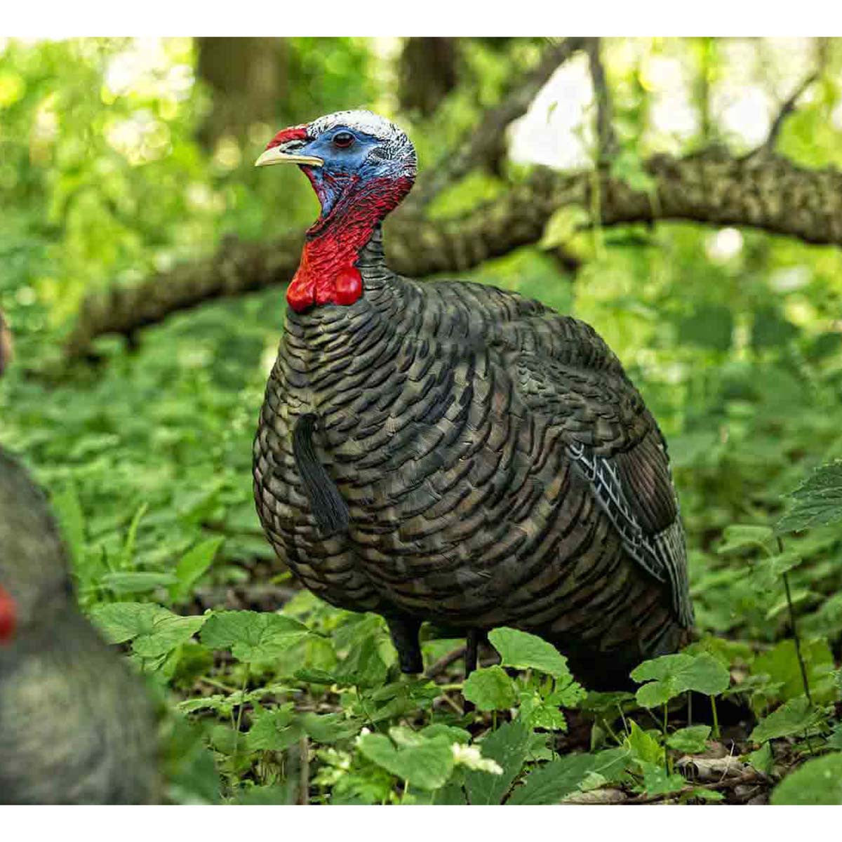 Avian-X LCD Quarter Strut Jake Turkey Decoy Field Image