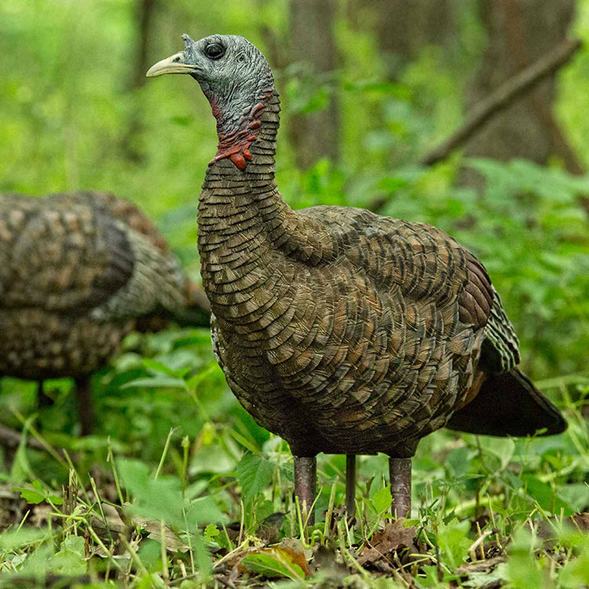 LCD Lookout Hen Turkey Decoy
