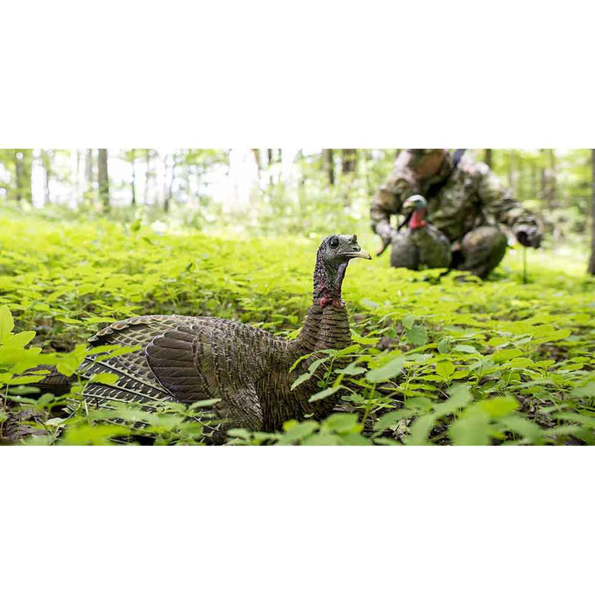 Avian-X LCD Laydown Hen Turkey Decoy Field Image