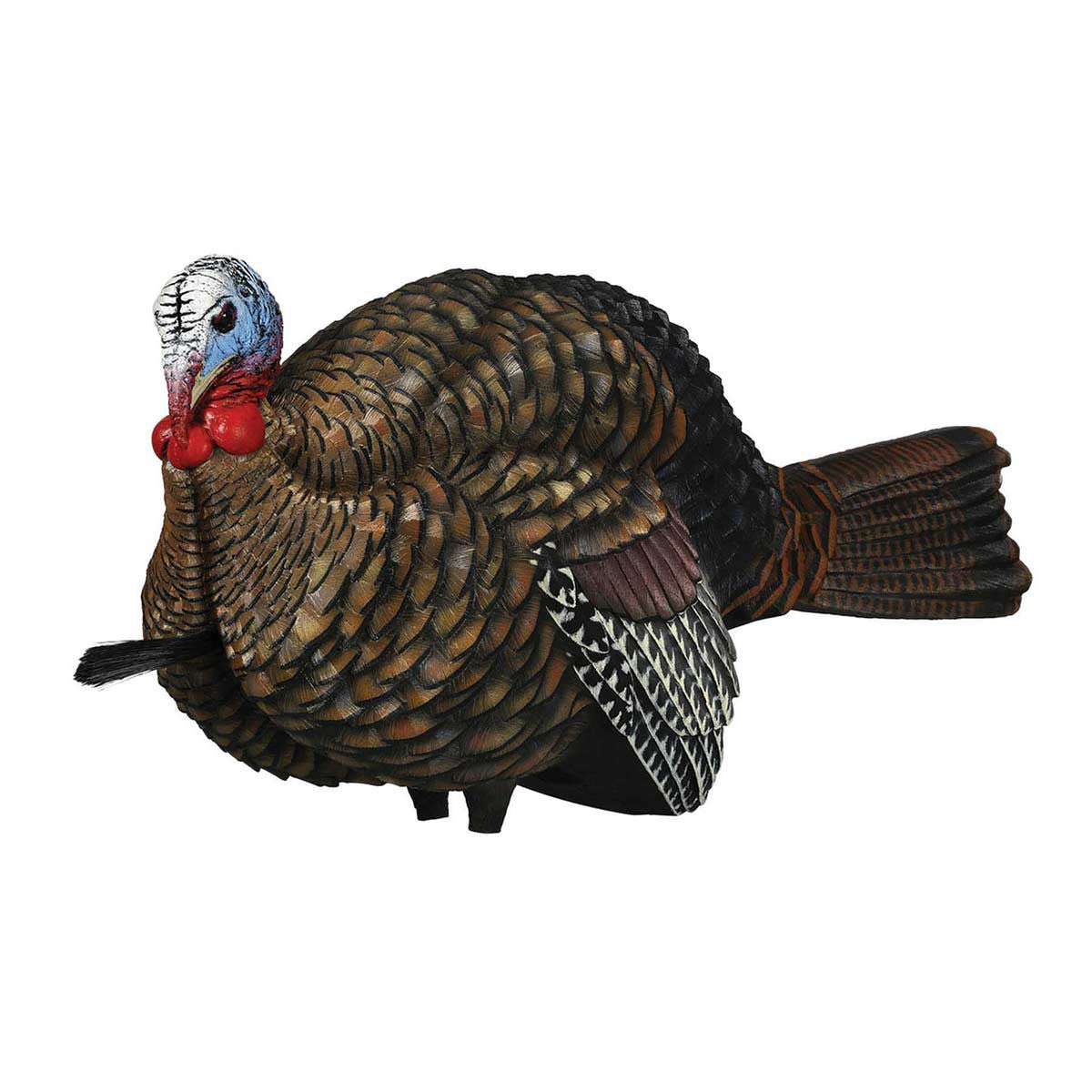 Avian-X LCD Half-Strut Jake Turkey Decoy Main Image