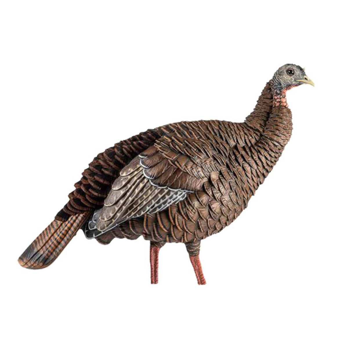 Avian-X HDR Hen Turkey Decoy Side Image