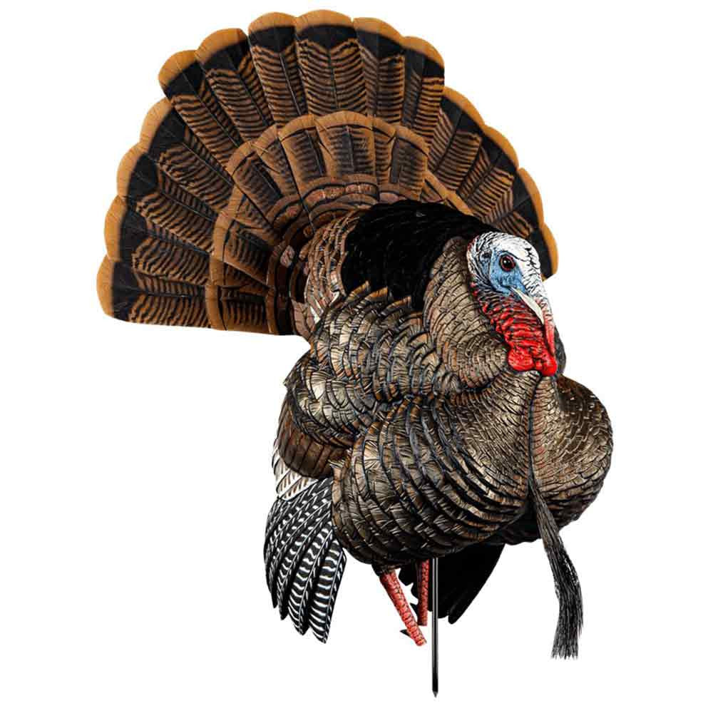 Avian-X HDR Strutter Turkey Decoy Main Image