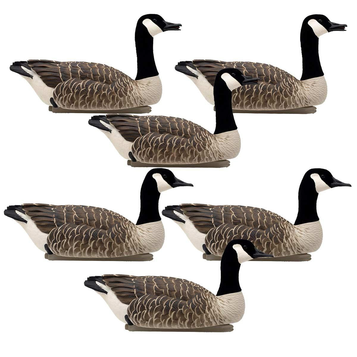Avian-X Honker Floater Canada Goose Decoys - 6 Pack Image