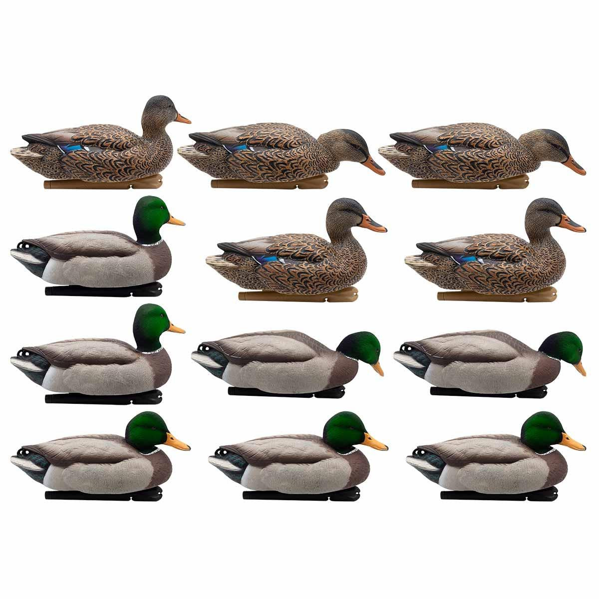 Avian-X TopFlight Flocked Head Mallard Fusion 12 Pack Floating Duck Decoys Product Image