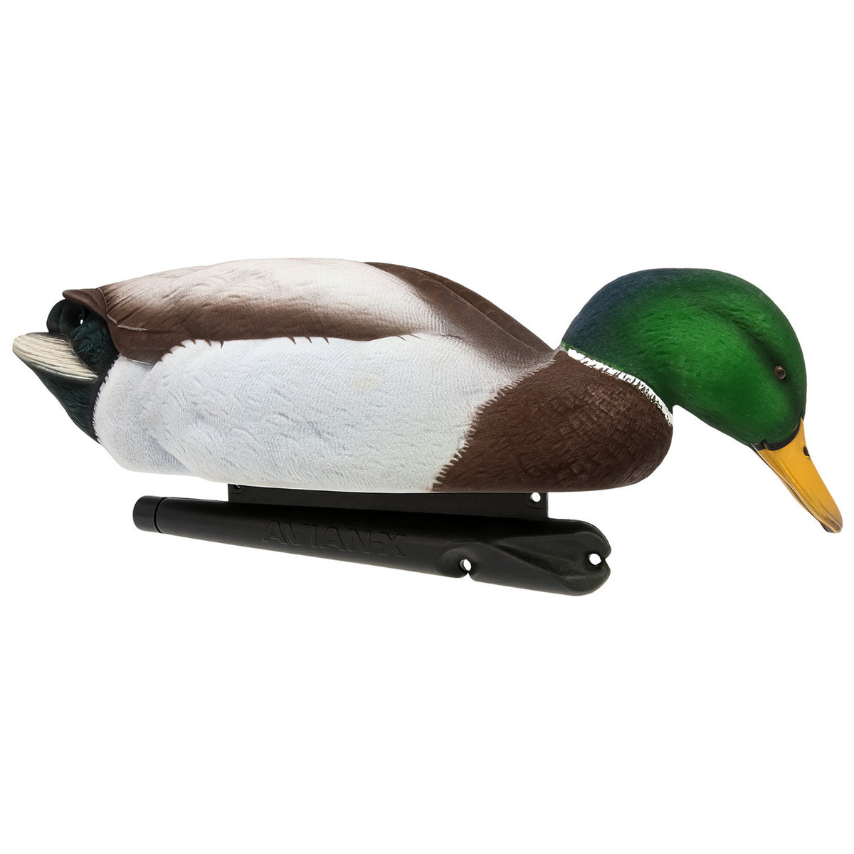 Feeder image of the Avian-X Fully Flocked Topflight Mallard Drake.