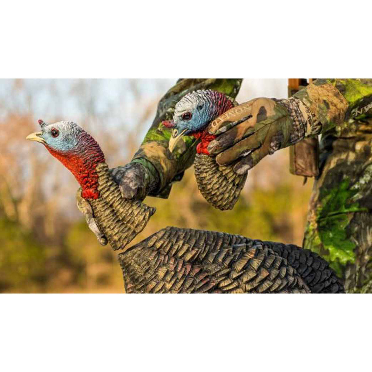 Avian-X HDR Jake Turkey Decoy Head In-the-Field Image