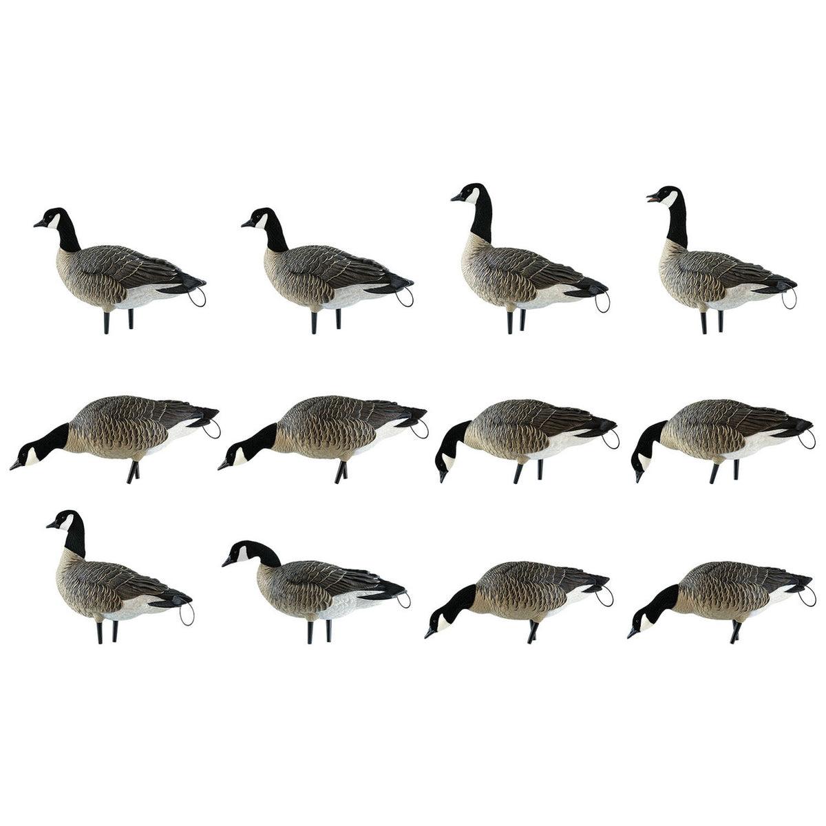 Image of Avian-X AXP Lesser Canada Goose Decoys 12 Pack.