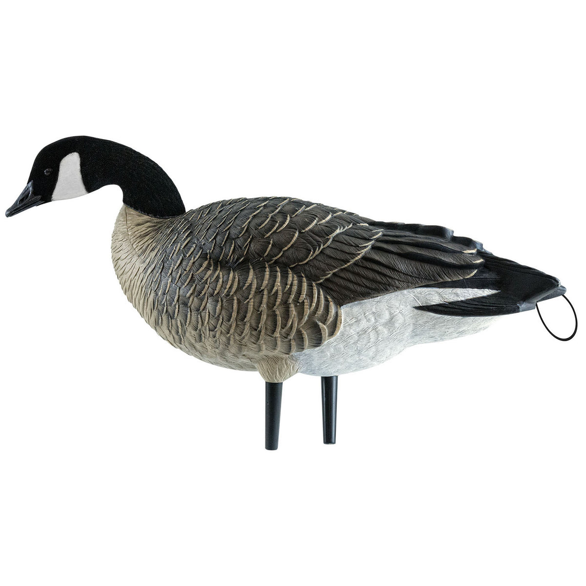 Stub-Neck image of Avian-X AXP Lesser Canada Goose Decoy.