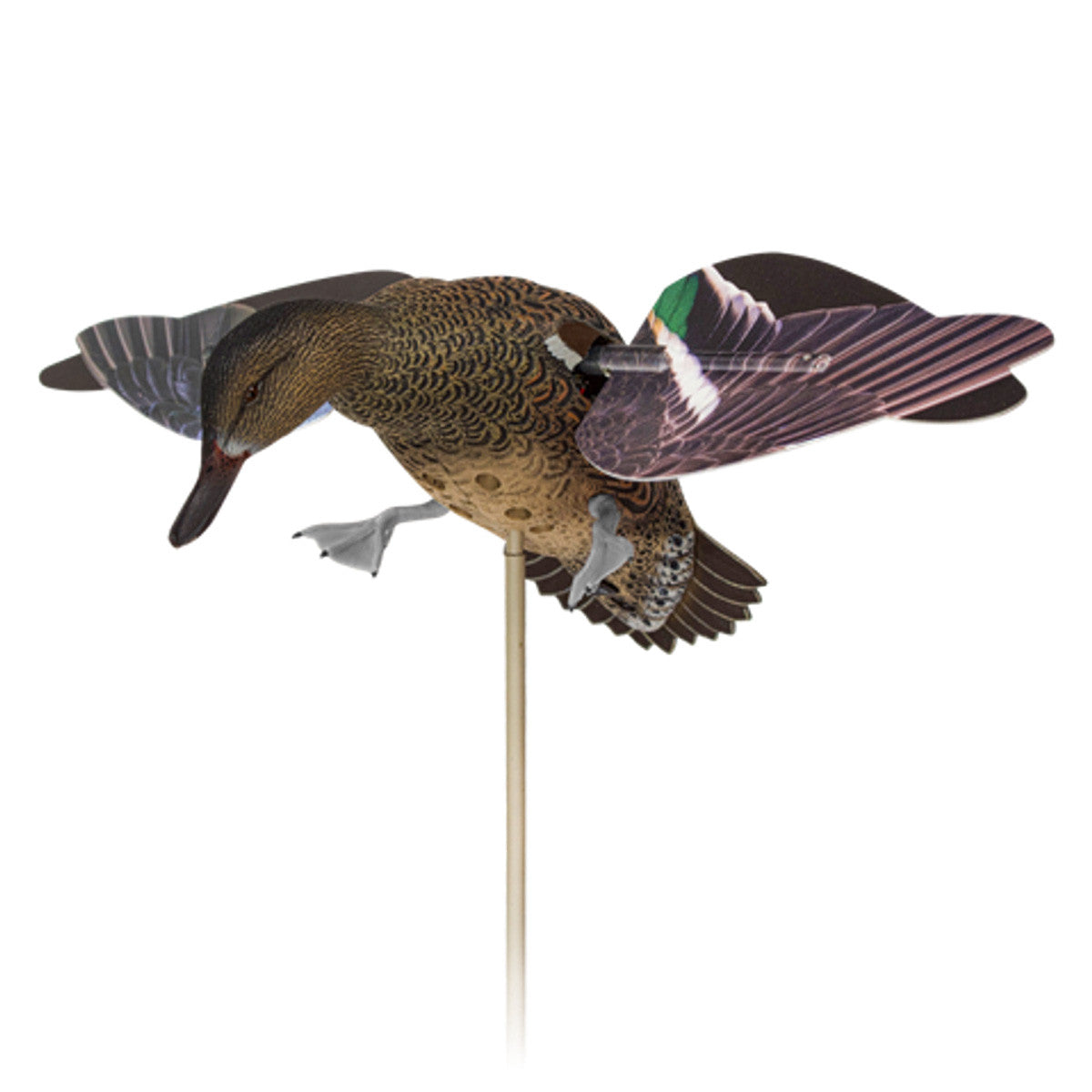 Right Side Image of the Green-Winged Teal Powerflight Hen Spinning Wing Decoy.